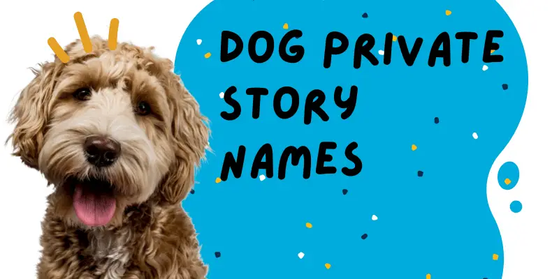 Dog Private story names